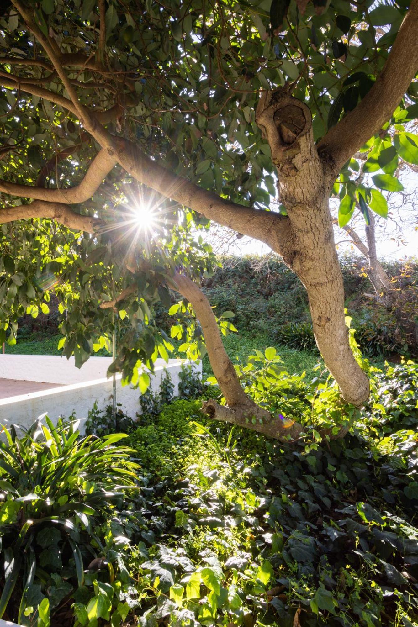 Lightbooking Casa De Campo Ortigal Tenerife La Esperanza  Esterno foto